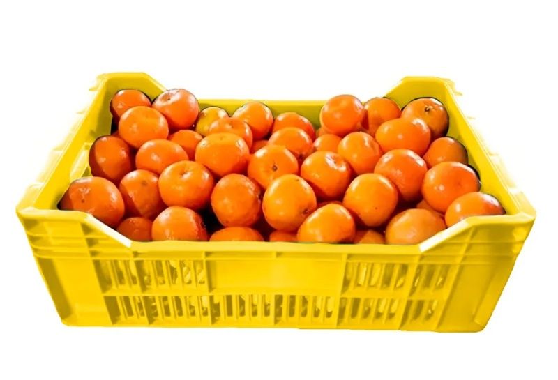 Caixa Plástica Empilhável Multivazada 54x...