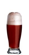 Tulipa Munikao Chopp 530ml Cx 12 NDF_7909 Tulipa Munikao Chopp 530ml Cx 12 NDF_7909