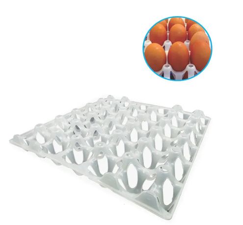 Bandeja para 30 Ovos Plástica Branca Dell...