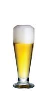 Tulipa Chopp 300ml Cx 12 NDF_7715 Tulipa Chopp 300ml Cx 12 NDF_7715