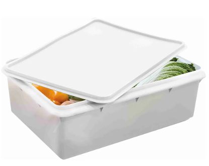Caixa Plástica Retangular 3,5L 28x17x9cm ...
