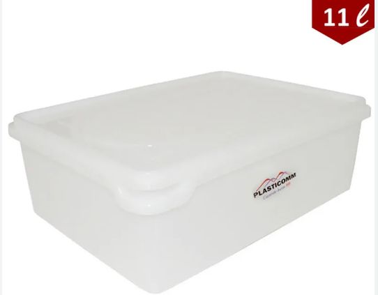 Caixa Plástica 11 Litros 39x28x14cm Incol...