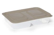 Caixa Plástica Retangular com 2 Divisória...