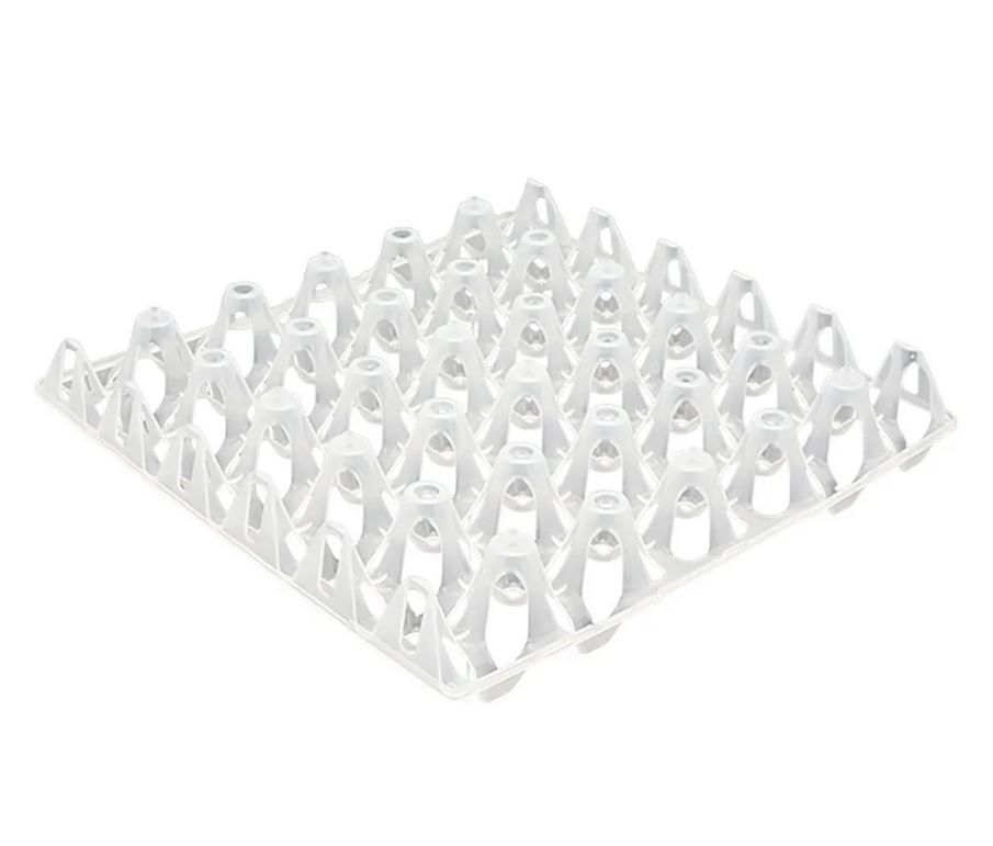 Bandeja para 30 Ovos Plástica Incolor Del...