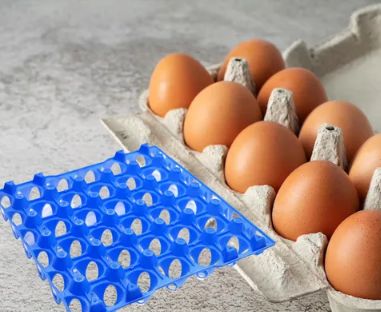 Bandeja para 30 Ovos Azul Dellaplast Ref.... Bandeja para 30 Ovos Azul Dellaplast Ref....