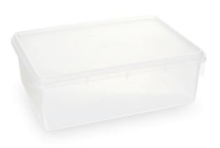 Caixa Plastica Ret 33x23x11cm 6,5L PSV_122